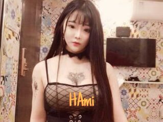 HAmi