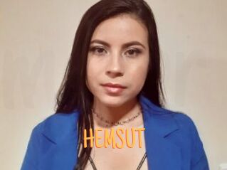 HEMSUT