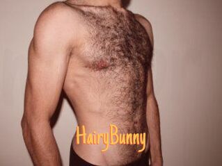 HairyBunny