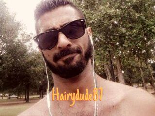 Hairydude87