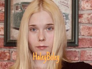 HaleyBoley