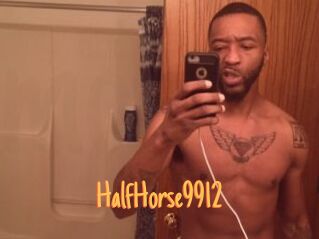 HalfHorse9912