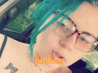 HareBunny