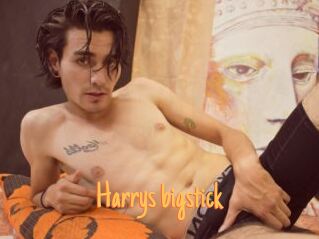 Harrys_bigstick Mobile Porno