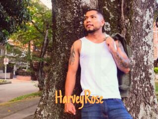 HarveyRose