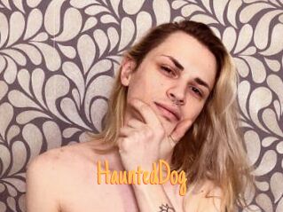 HauntedDog