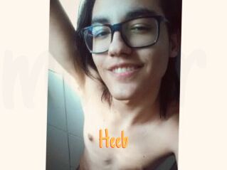 Heeb