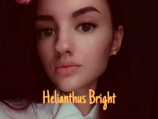 Helianthus_Bright