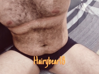 Hairybear18