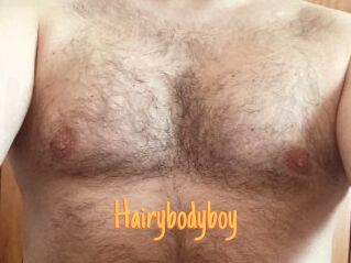 Hairybodyboy