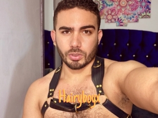 Hairyboyx