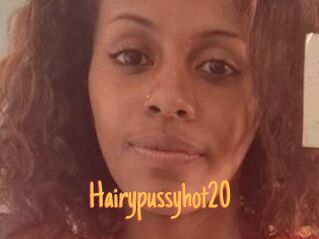 Hairypussyhot20