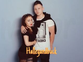 Halleyandbuck