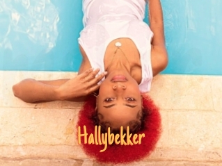 Hallybekker
