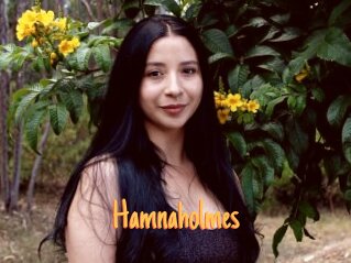 Hamnaholmes