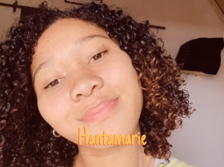 Hantamarie
