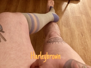 Harleybrown