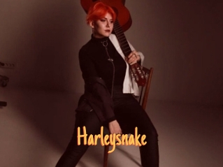 Harleysnake