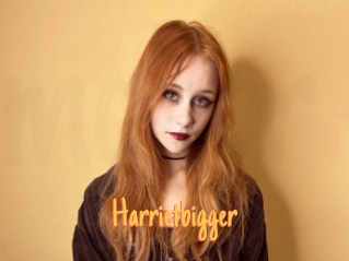 Harrietbigger