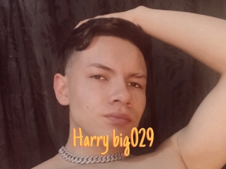 Harry_big029