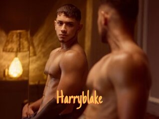 Harryblake