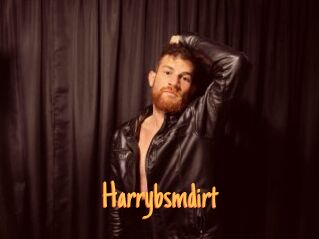 Harrybsmdirt