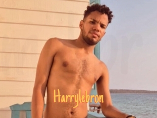 Harrylebron