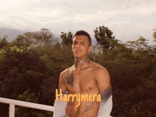 Harrymera