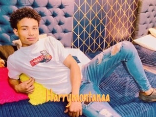 Harrymontanaa