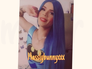 Hasslybunnyxxx