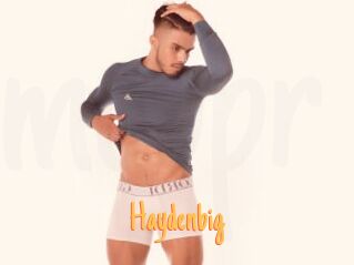 Haydenbig