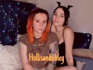 Hollisandsibley