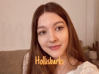 Hollisbarks