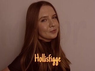 Hollisfigge