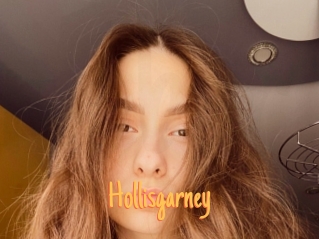 Hollisgarney