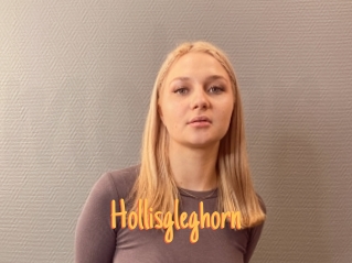 Hollisgleghorn