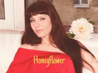 Honeyflower