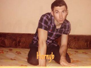 Hornyb