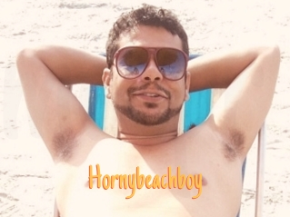 Hornybeachboy