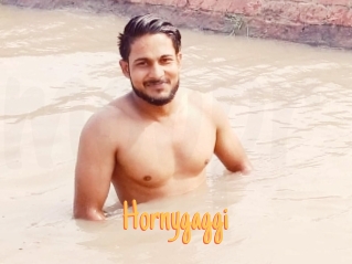 Hornygaggi