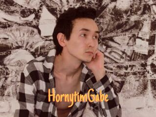 HornytimGabe