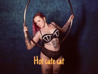 Hot_cute_cat