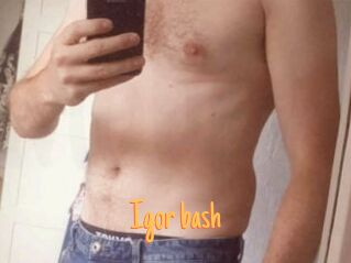 Igor_bash