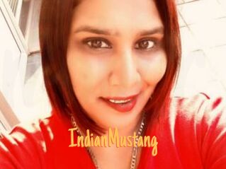 IndianMustang