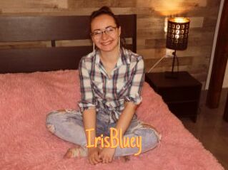 IrisBluey