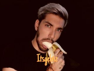 Itsgelviz