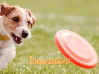 Itwaresistudtest