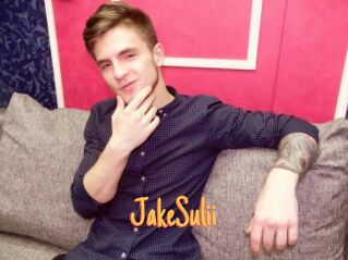 JakeSulii