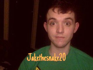 Jakethesnake20