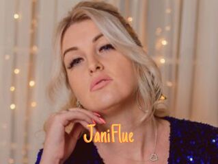 JaniFlue